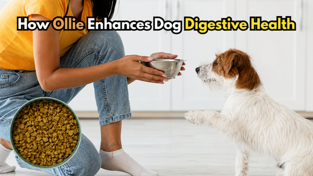 How Long Does It Take a Dog to Digest Food?