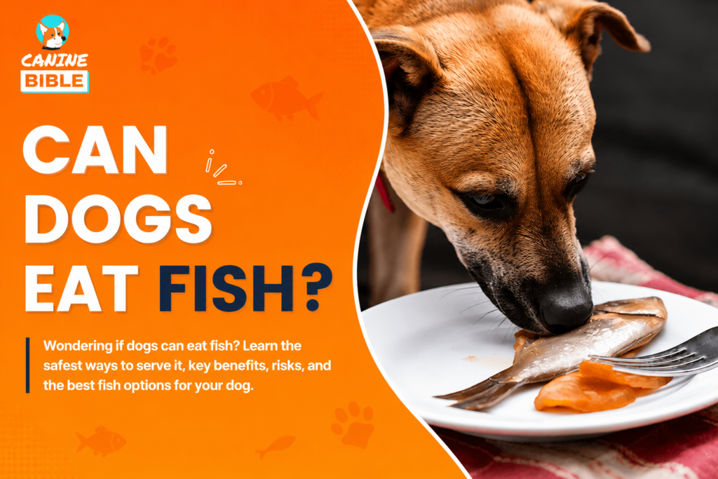 Can Dogs Eat Fish?
