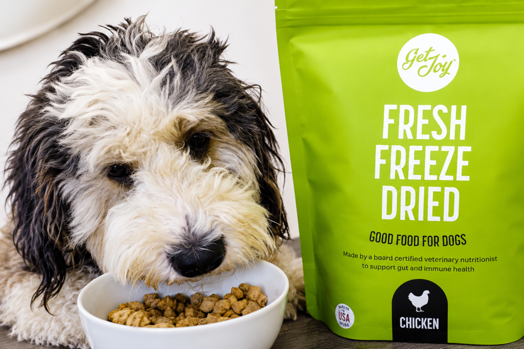 can you freeze fresh pet dog food?