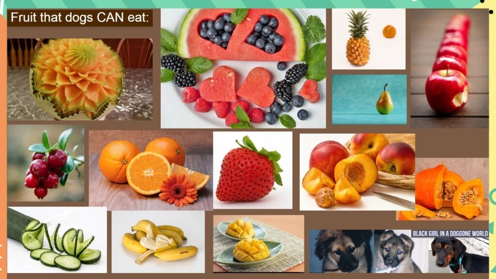 what fruit can dogs eat?
