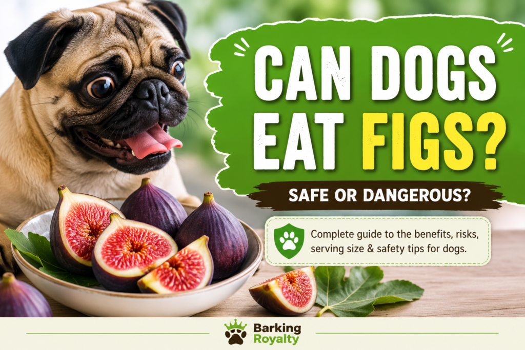 Can Dogs Eat Figs? Complete Benefits, Risks & Safe Feeding Guide (2026) Can Dogs Eat Figs?