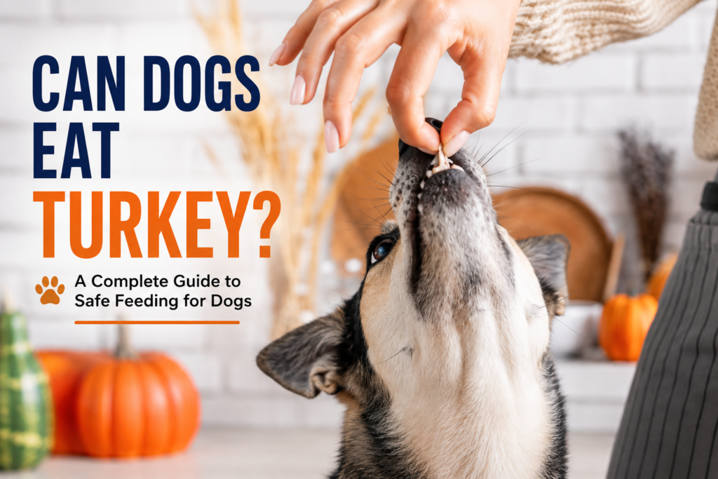 Can Dogs Eat Turkey Bones? Complete Guide to Turkey Bone Safety, Risks, Symptoms, and What to Do (2026) can dogs eat turkey bones?