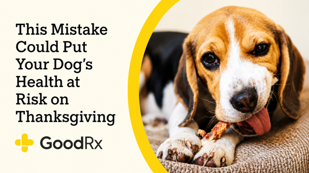 Can Dogs Eat Turkey Bones? Complete Guide to Turkey Bone Safety, Risks, Symptoms, and What to Do (2026) n dogs eat turkey bones?