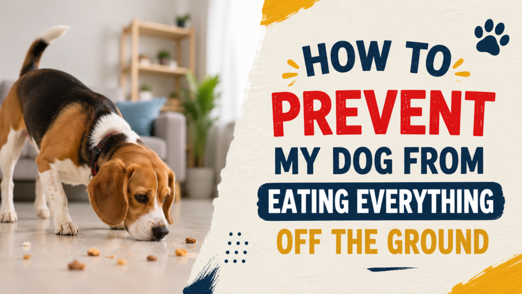 My dog eats everything off the ground