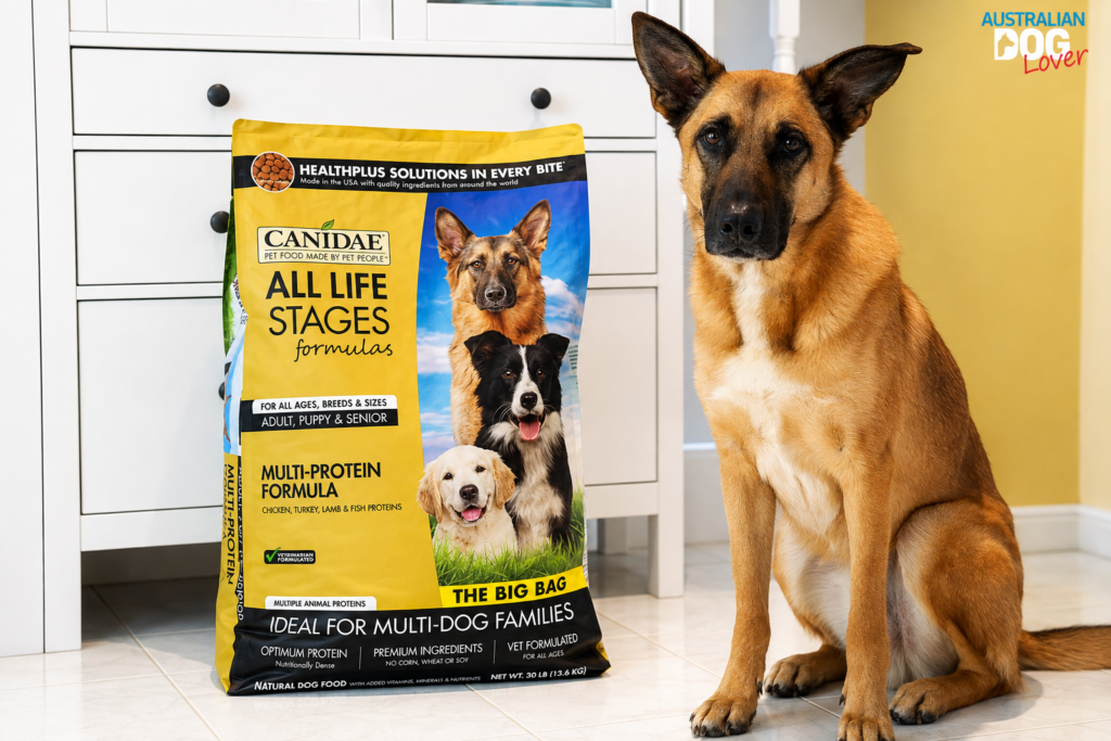 All Life Stages Dog Food: The Complete Guide to Choosing the Right Food (2026) all life stages dog food?