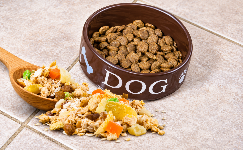 Fiber rich foods for dogs?
