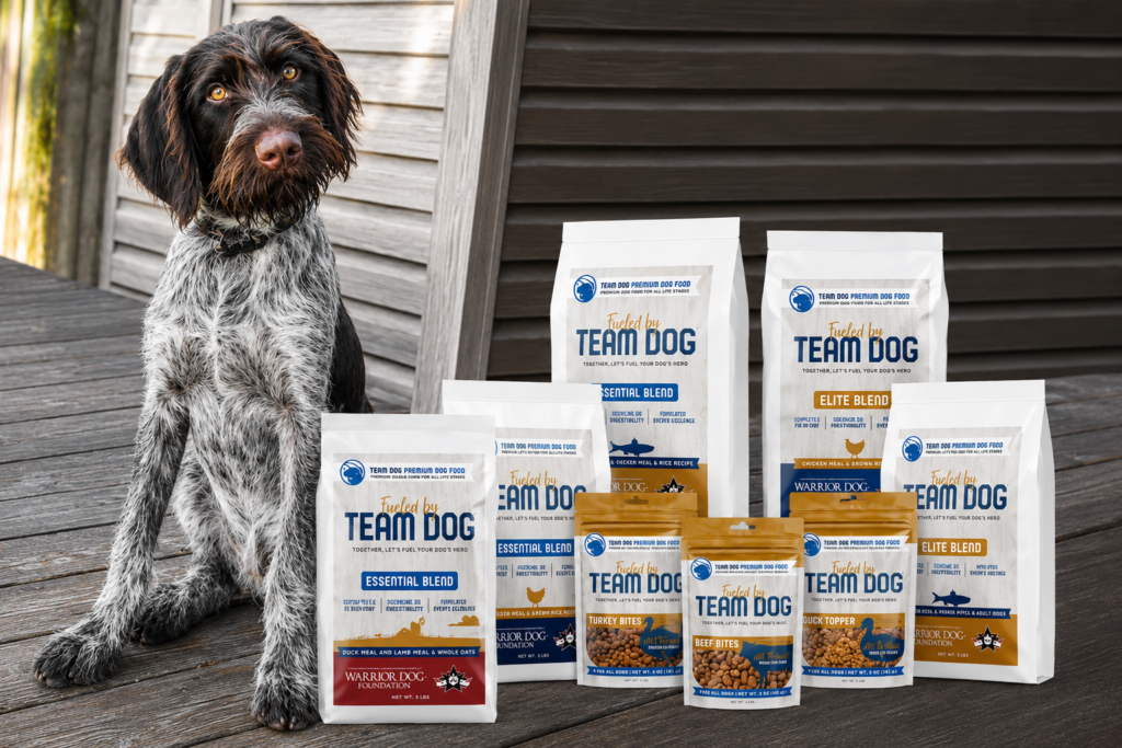 team dog dog food