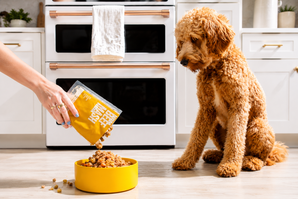 Yellow Bag Dog Food: Complete Guide to Ingredients, Nutrition, Benefits, Feeding and Buying Tips (2026) yellow bag dog food