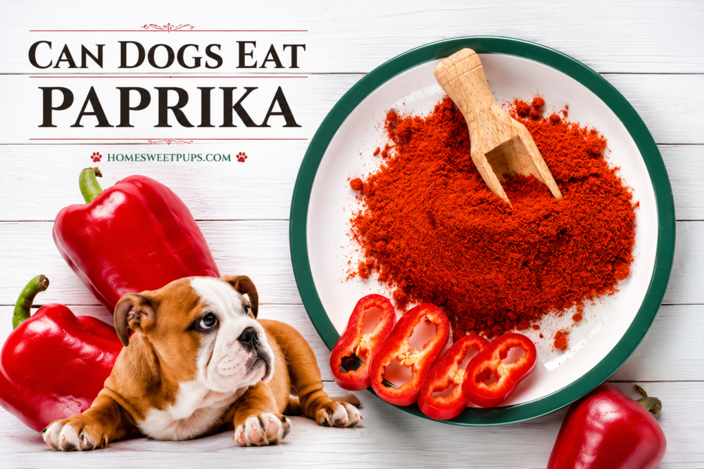 can dogs eat paprika