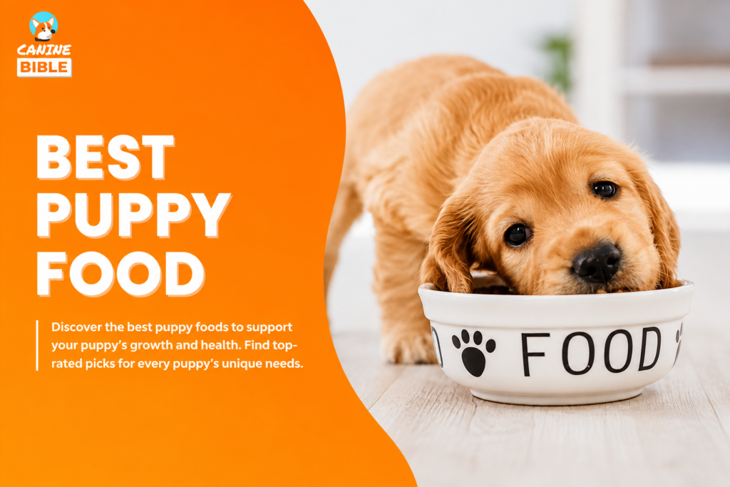 Vet Recommended Puppy Food