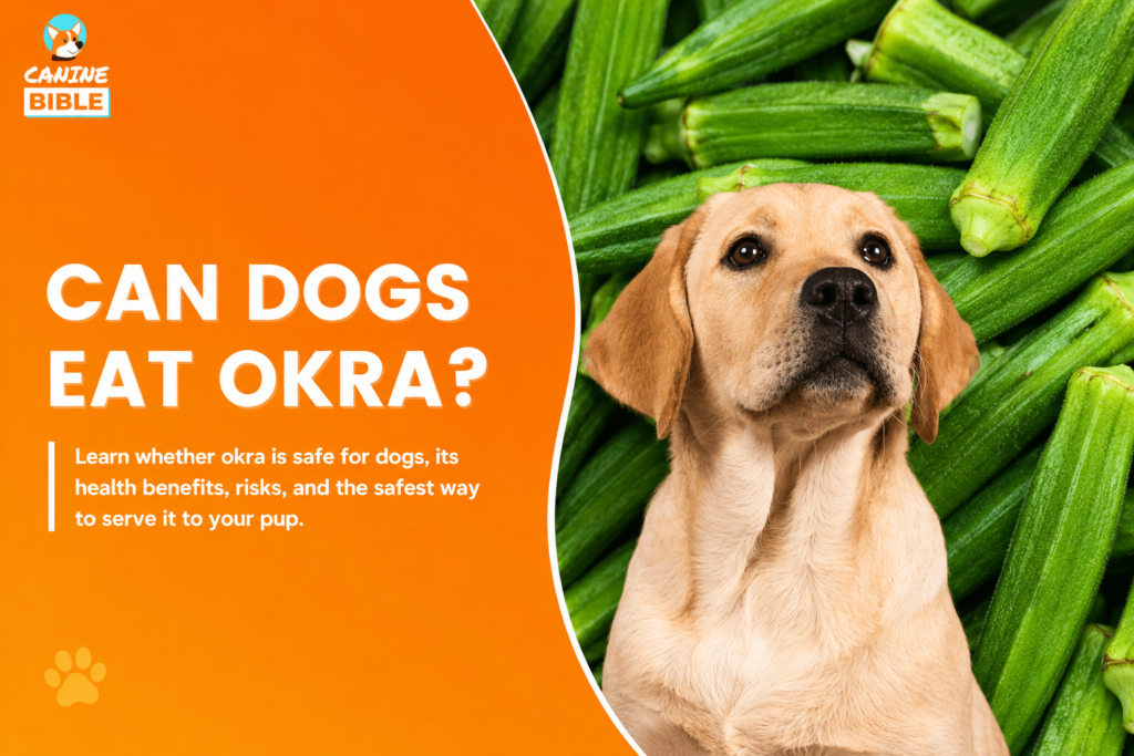 Can Dogs Eat Okra? A Complete Guide to Benefits, Risks, and Safe Feeding (2026) can dogs eat okra