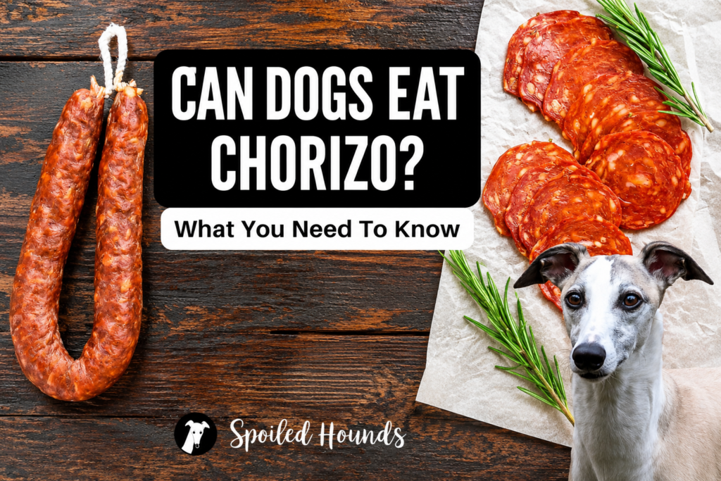 Can dogs eat chorizo?