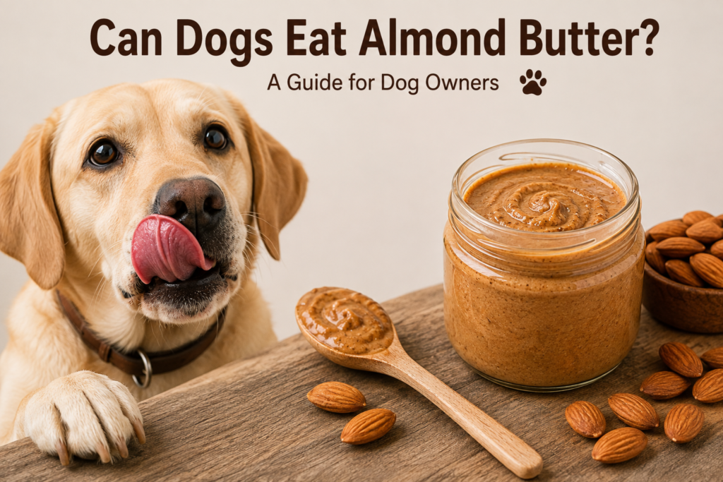 Can Dogs Eat Almond Butter? Safe Guide to Benefits, Risks & Feeding Tips (2026) Can dogs eat almond butter?