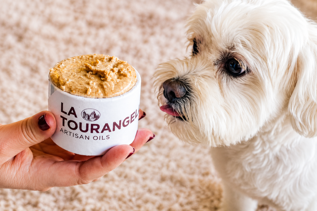Can Dogs Eat Almond Butter? Safe Guide to Benefits, Risks & Feeding Tips (2026) can dog eat almond butter?
