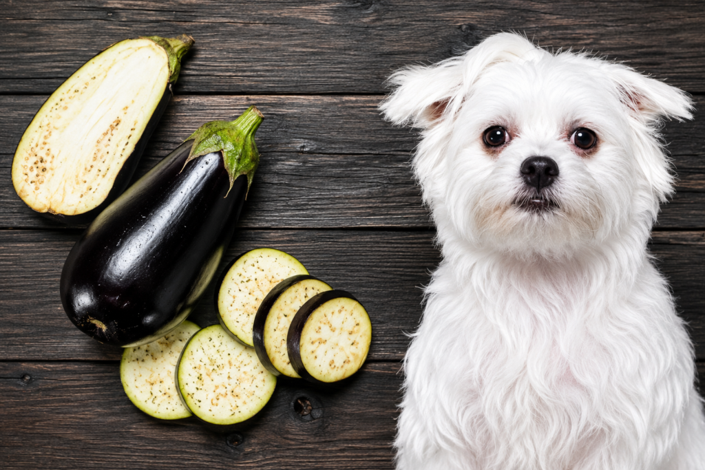 Can Dogs Eat Aubergines? Benefits, Risks & Safe Feeding Guide (2026) can dogs eat aubergines
