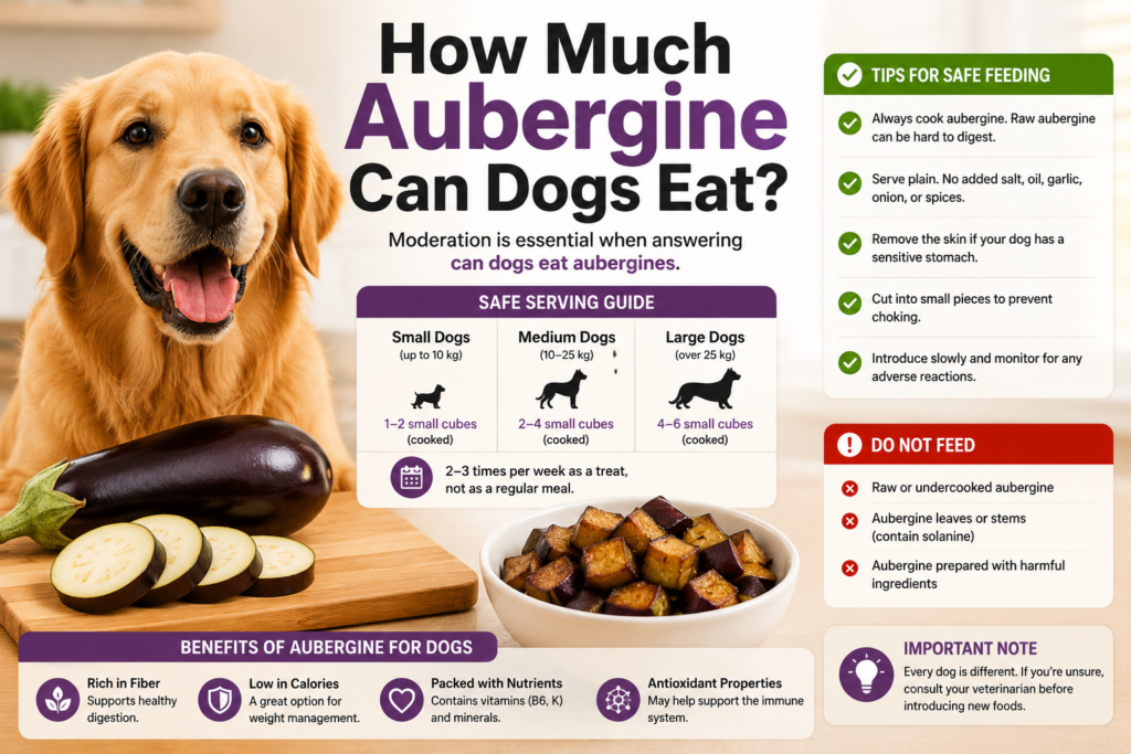 Can Dogs Eat Aubergines? Benefits, Risks & Safe Feeding Guide (2026) can dogs eat aubergines?