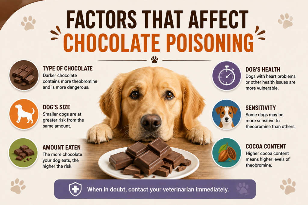 What Happens to Dogs When They Eat Chocolate? Dangerous Symptoms, Treatment & Prevention (2026) What happens to dogs when they eat chocolate?