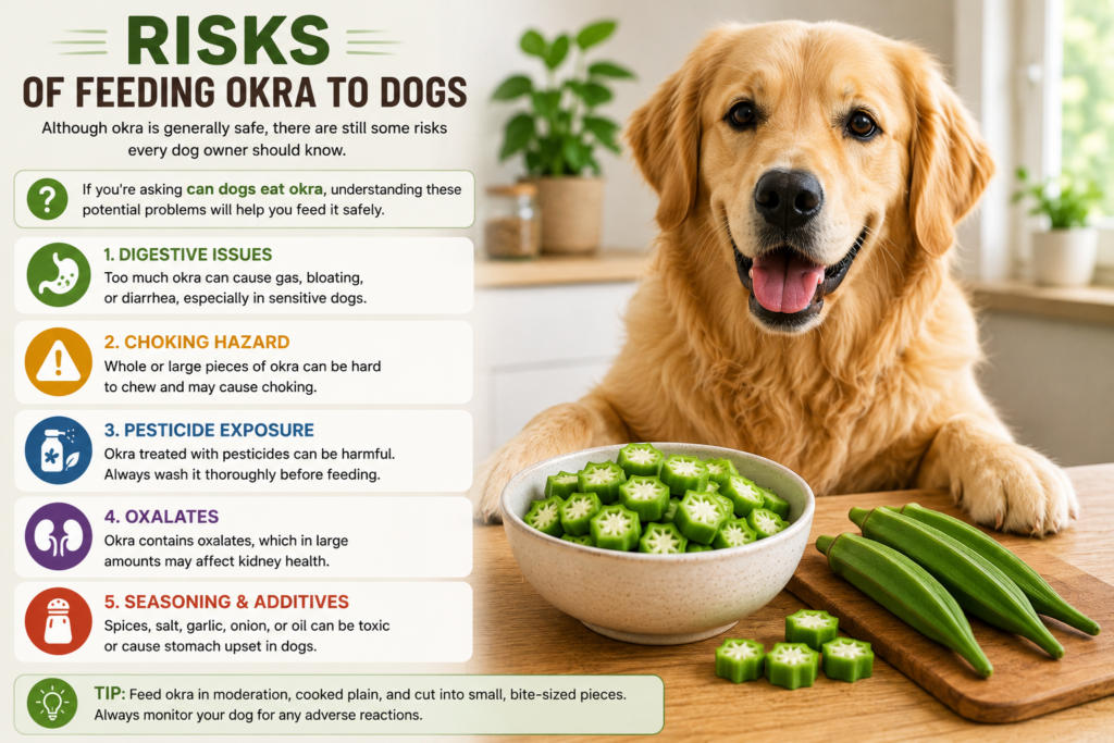 Can Dogs Eat Okra? A Complete Guide to Benefits, Risks, and Safe Feeding (2026) can dogs eat okra?