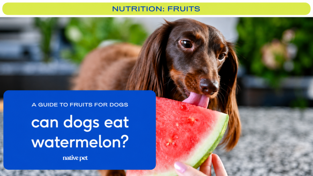 Can dogs eat watermelon?