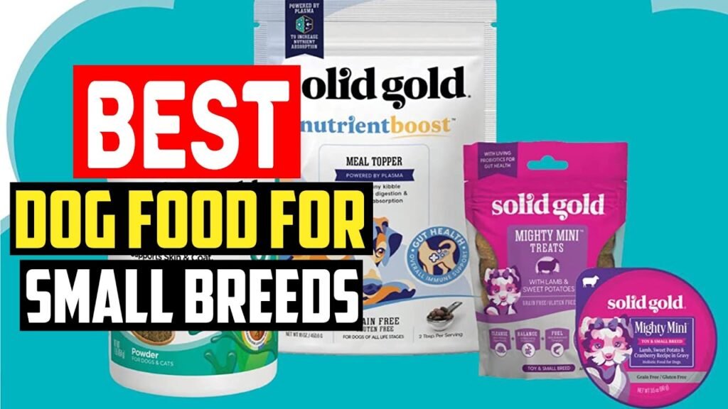 best small breed dog food